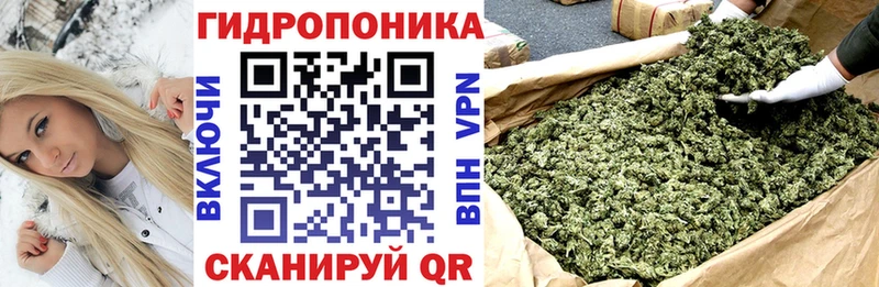 Где купить наркоту Шумерля A PVP  МЕФ  КОКАИН  Гашиш  АМФ  Канабис 