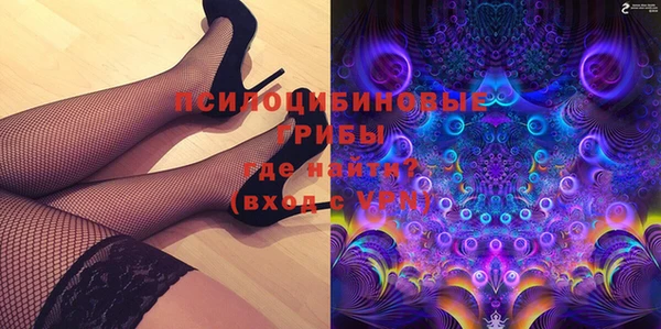 гашик Богданович