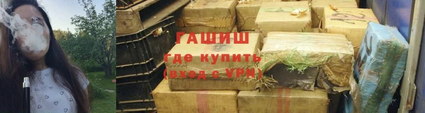 гашик Богданович