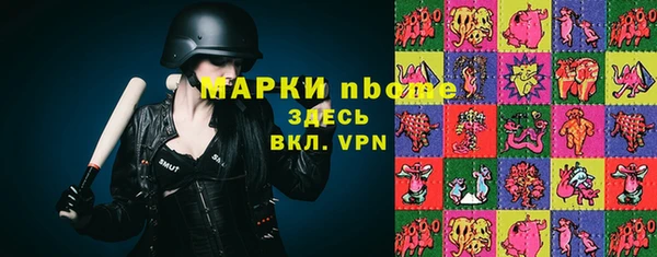 гашик Богданович