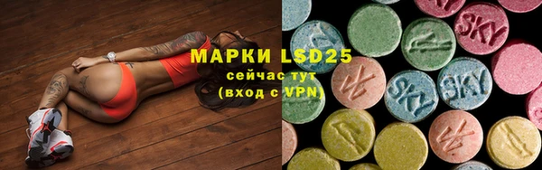 гашик Богданович
