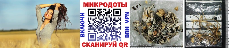 Псилоцибиновые грибы Magic Shrooms  Шумерля 
